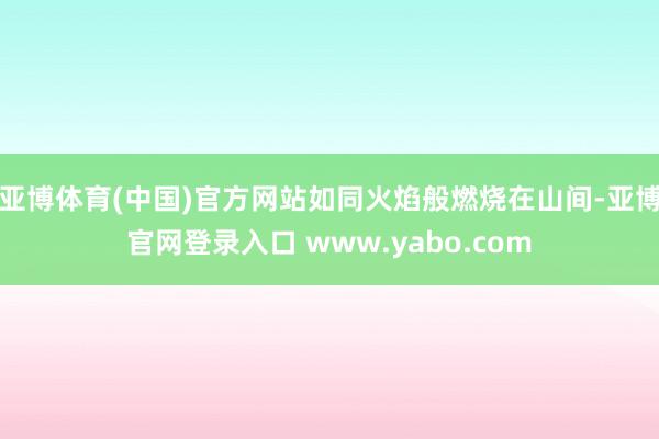 亚博体育(中国)官方网站如同火焰般燃烧在山间-亚博官网登录入口 www.yabo.com